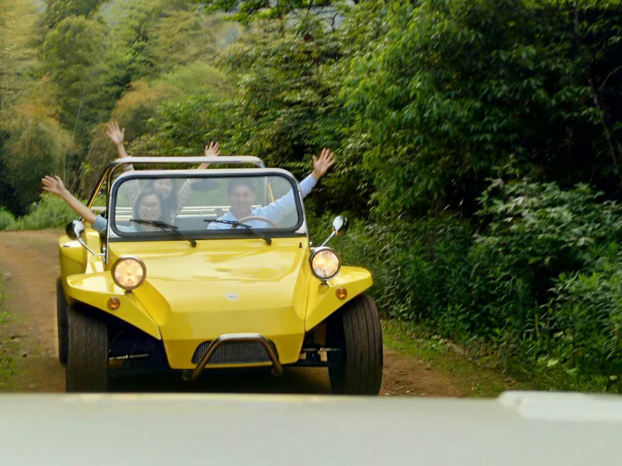 Vintage Buggy Tour